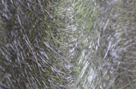 Cardowan fibreglass roof work